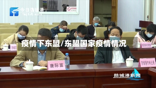 疫情下东盟/东盟国家疫情情况