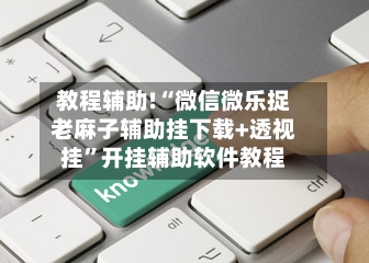教程辅助!“微信微乐捉老麻子辅助挂下载+透视挂”开挂辅助软件教程-第2张图片