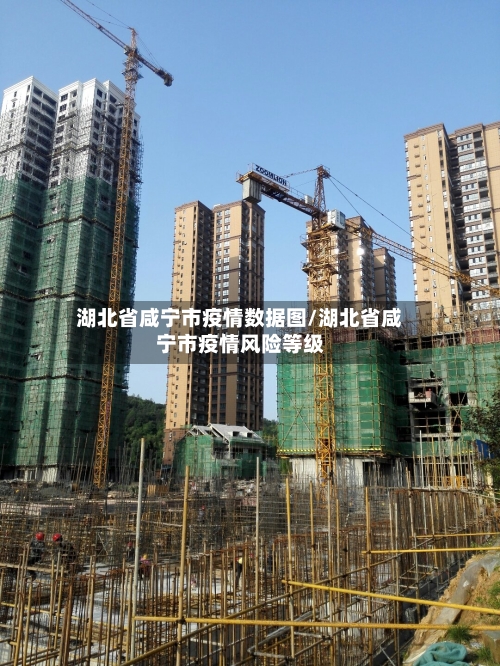 湖北省咸宁市疫情数据图/湖北省咸宁市疫情风险等级-第2张图片