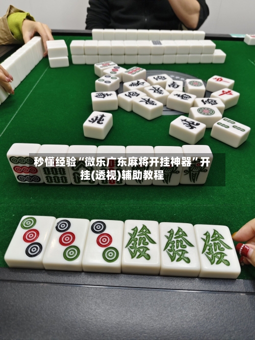秒懂经验“微乐广东麻将开挂神器”开挂(透视)辅助教程-第2张图片