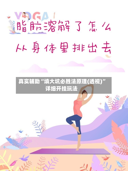 真实辅助“填大坑必胜法原理(透视)”详细开挂玩法