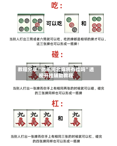 教程分享“微乐河北麻将有挂吗”透视开挂辅助教程