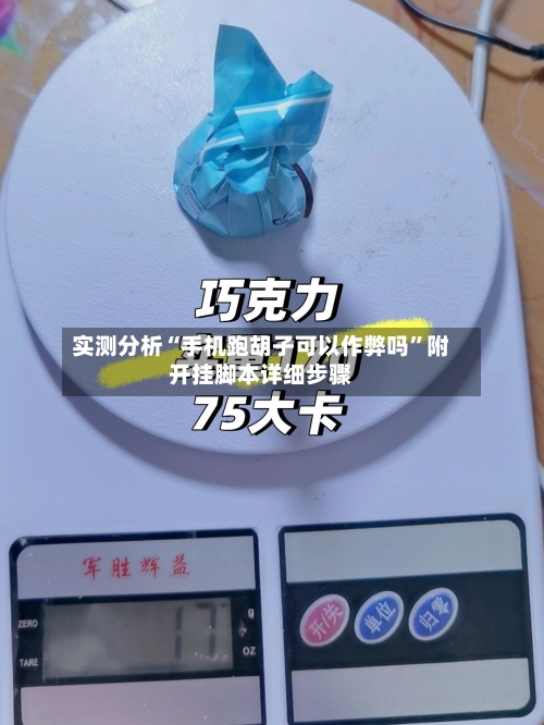 实测分析“手机跑胡子可以作弊吗	”附开挂脚本详细步骤-第3张图片