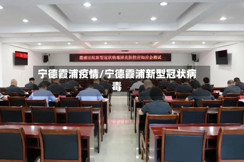 宁德霞浦疫情/宁德霞浦新型冠状病毒-第2张图片