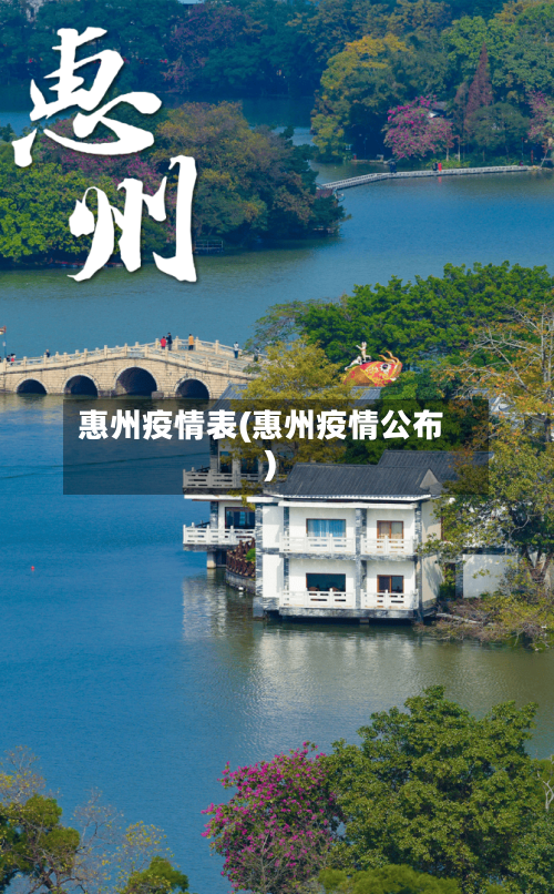惠州疫情表(惠州疫情公布)-第2张图片