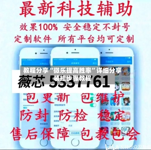 教程分享“微乐提高胜率”详细分享装挂步骤教程-第2张图片