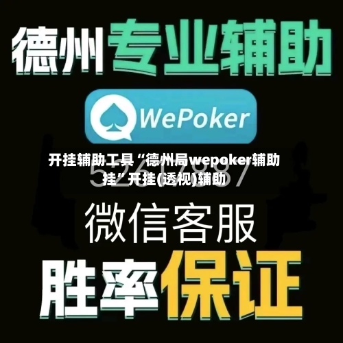 开挂辅助工具“德州局wepoker辅助挂”开挂(透视)辅助