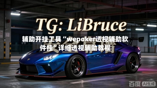 辅助开挂工具“wepoker透视辅助软件挂”详细透视辅助教程