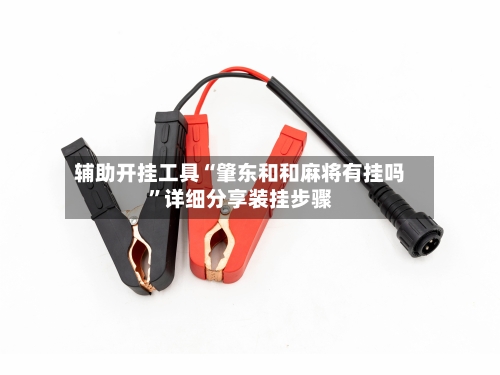 辅助开挂工具“肇东和和麻将有挂吗”详细分享装挂步骤