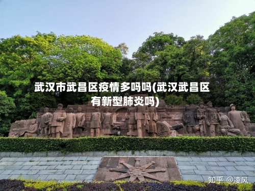 武汉市武昌区疫情多吗吗(武汉武昌区有新型肺炎吗)