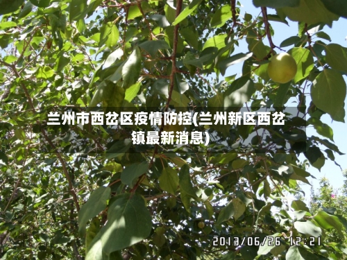 兰州市西岔区疫情防控(兰州新区西岔镇最新消息)-第2张图片