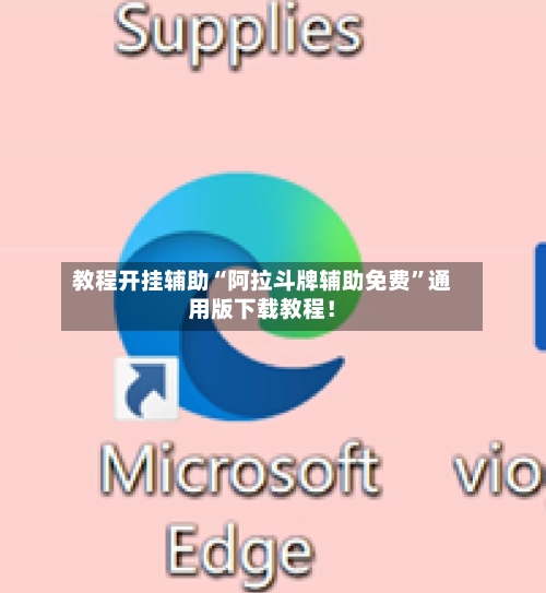 教程开挂辅助“阿拉斗牌辅助免费”通用版下载教程！-第2张图片