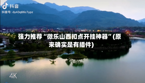 强力推荐“微乐山西扣点开挂神器”(原来确实是有插件)-第2张图片