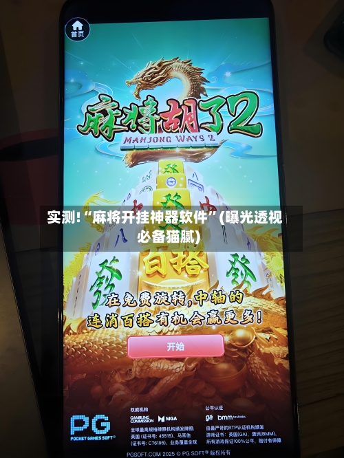 实测!“麻将开挂神器软件”(曝光透视必备猫腻)-第2张图片