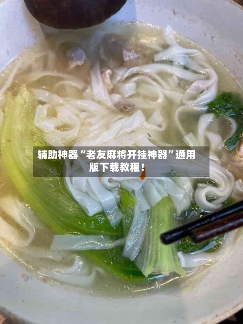 辅助神器“老友麻将开挂神器”通用版下载教程！