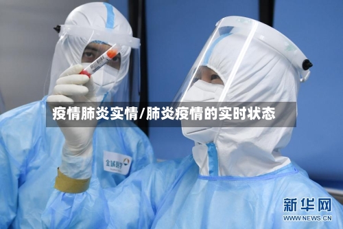 疫情肺炎实情/肺炎疫情的实时状态-第2张图片