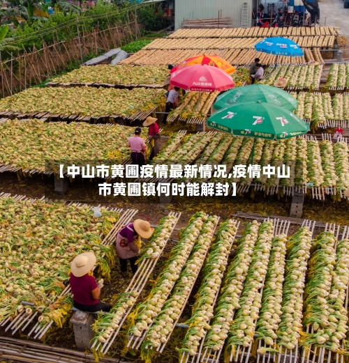 【中山市黄圃疫情最新情况,疫情中山市黄圃镇何时能解封】-第2张图片