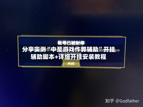 分享实测“中至游戏作弊辅助”开挂辅助脚本+详细开挂安装教程