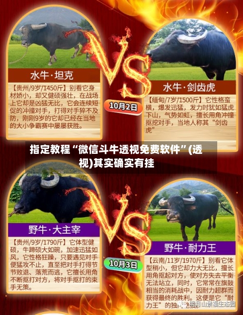 指定教程“微信斗牛透视免费软件”(透视)其实确实有挂