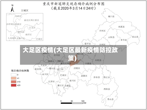 大足区疫情(大足区最新疫情防控政策)-第3张图片