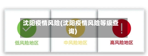 沈阳疫情风险(沈阳疫情风险等级查询)