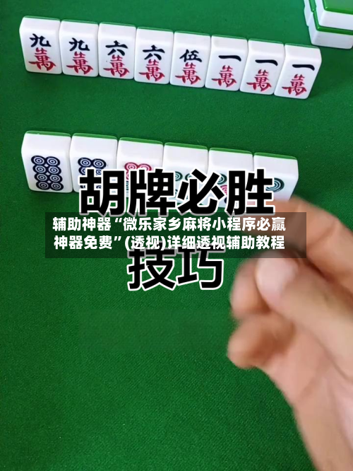 辅助神器“微乐家乡麻将小程序必赢神器免费	”(透视)详细透视辅助教程-第2张图片