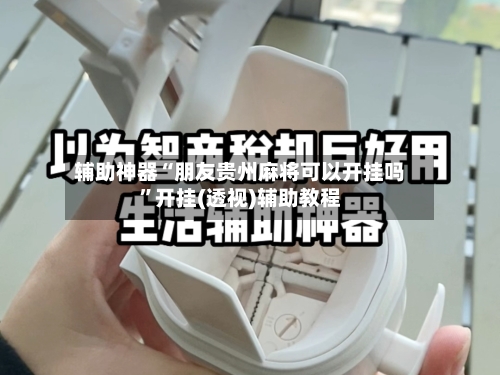 辅助神器“朋友贵州麻将可以开挂吗”开挂(透视)辅助教程