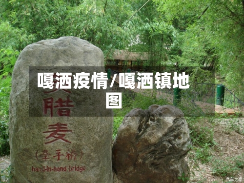 嘎洒疫情/嘎洒镇地图-第2张图片