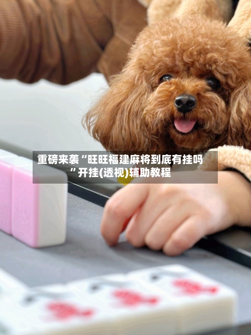 重磅来袭“旺旺福建麻将到底有挂吗”开挂(透视)辅助教程-第2张图片