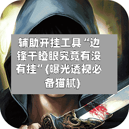 辅助开挂工具“边锋干瞪眼究竟有没有挂”(曝光透视必备猫腻)-第3张图片