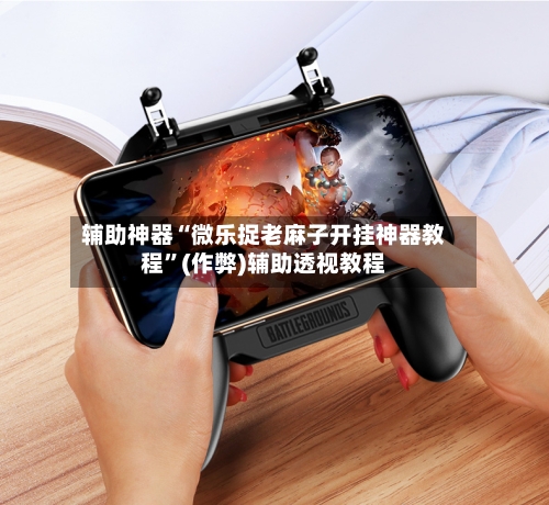 辅助神器“微乐捉老麻子开挂神器教程”(作弊)辅助透视教程-第2张图片