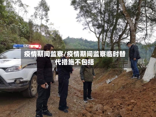 疫情期间监察/疫情期间监察临时替代措施不包括-第2张图片