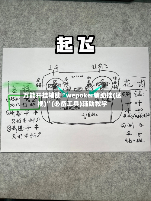 万能开挂辅助“wepoker辅助挂(透视)”(必备工具)辅助教学