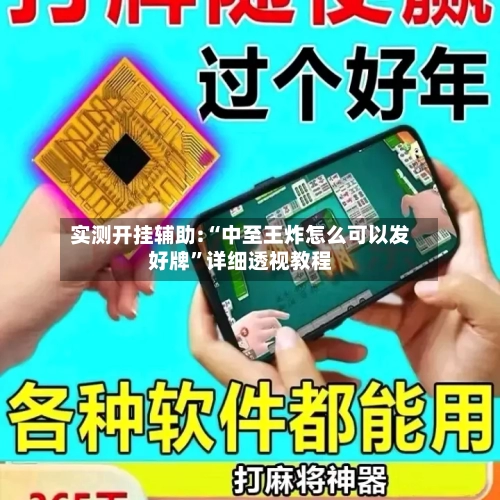 实测开挂辅助:“中至王炸怎么可以发好牌	”详细透视教程-第2张图片