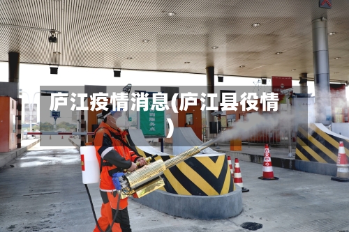 庐江疫情消息(庐江县役情)-第3张图片