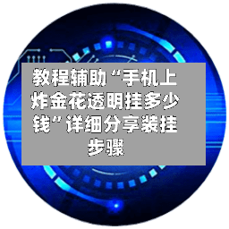 教程辅助“手机上炸金花透明挂多少钱”详细分享装挂步骤