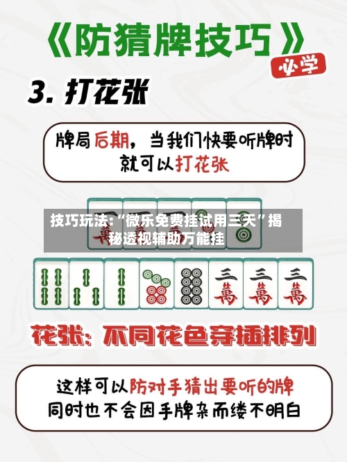 技巧玩法:“微乐免费挂试用三天	”揭秘透视辅助万能挂-第3张图片