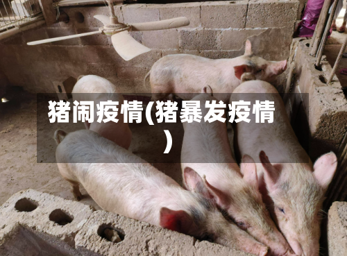 猪闹疫情(猪暴发疫情)-第2张图片