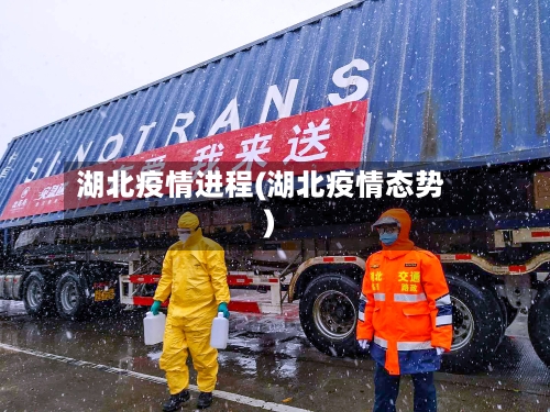 湖北疫情进程(湖北疫情态势)-第2张图片