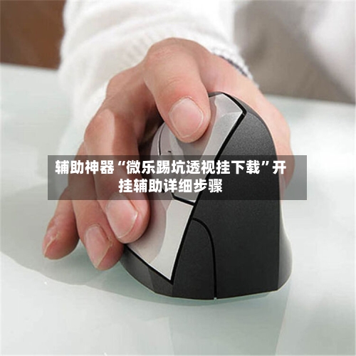 辅助神器“微乐踢坑透视挂下载”开挂辅助详细步骤