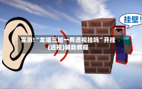 实测!“龙喵三加一有透视挂吗”开挂(透视)辅助教程