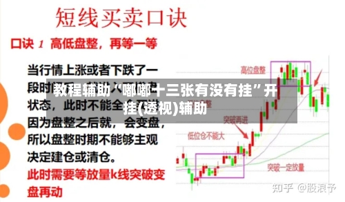 教程辅助“嘟嘟十三张有没有挂”开挂(透视)辅助