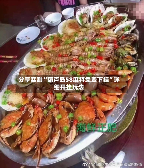 分享实测“葫芦岛58麻将免费下挂	”详细开挂玩法-第2张图片