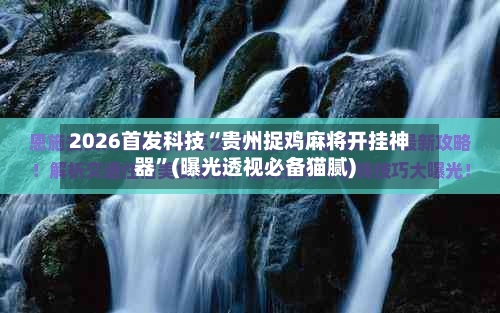 2026首发科技“贵州捉鸡麻将开挂神器”(曝光透视必备猫腻)