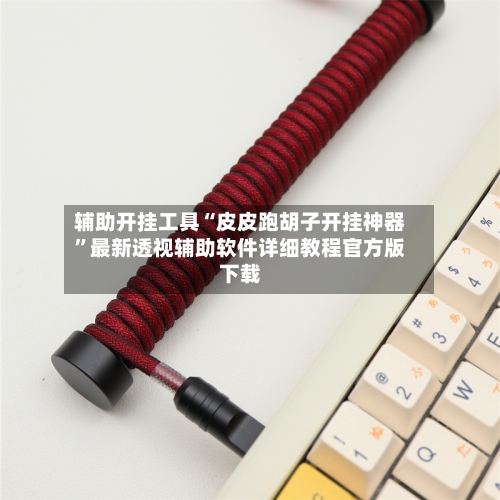 辅助开挂工具“皮皮跑胡子开挂神器”最新透视辅助软件详细教程官方版下载