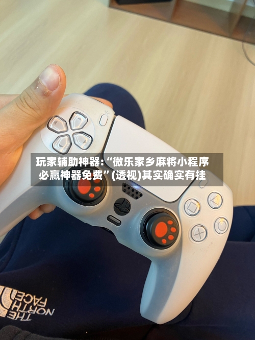 玩家辅助神器:“微乐家乡麻将小程序必赢神器免费”(透视)其实确实有挂-第3张图片