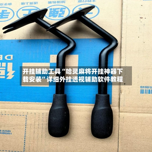 开挂辅助工具“哈灵麻将开挂神器下载安装	”详细外挂透视辅助软件教程-第2张图片