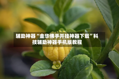 辅助神器“金华佛手开挂神器下载”科技辅助神器手机版教程