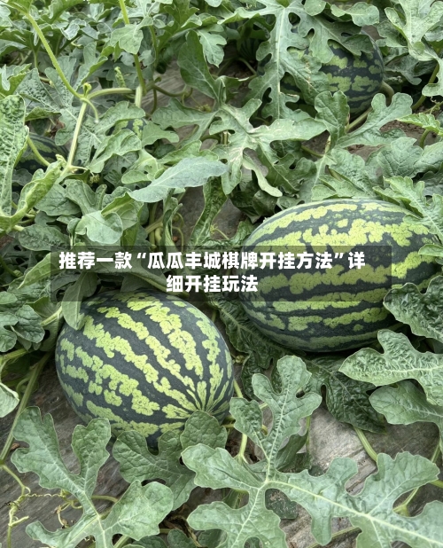 推荐一款“瓜瓜丰城棋牌开挂方法”详细开挂玩法