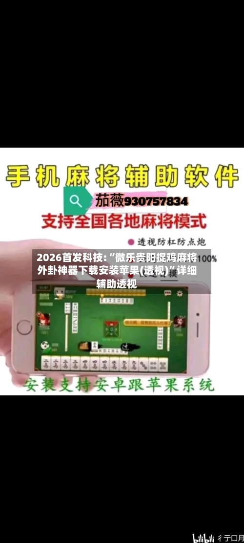 2026首发科技:“微乐贵阳捉鸡麻将外卦神器下载安装苹果(透视)”详细辅助透视-第3张图片